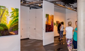 2017-06-18_7631-Edit-DD