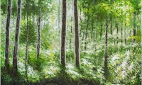 spring current / acrylic / 24 x 36 in.