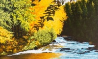 water reflections / acrylic / 36 x 48 in.