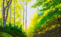 path in the woods / acrylic / 36 x 48 in.