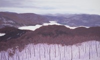 winter late afternoon  / acrylic / 48 x 36 in.