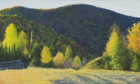 autumn sun / oil / sold