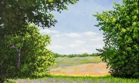 Chelsea's countryside / acrylic / 30 x 24 in.