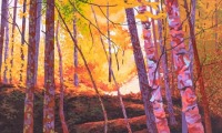 the red deep woods/ acrylic / 36 x 48 in.